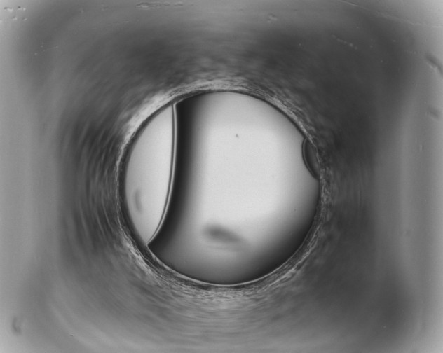 X0000103290008200808291118