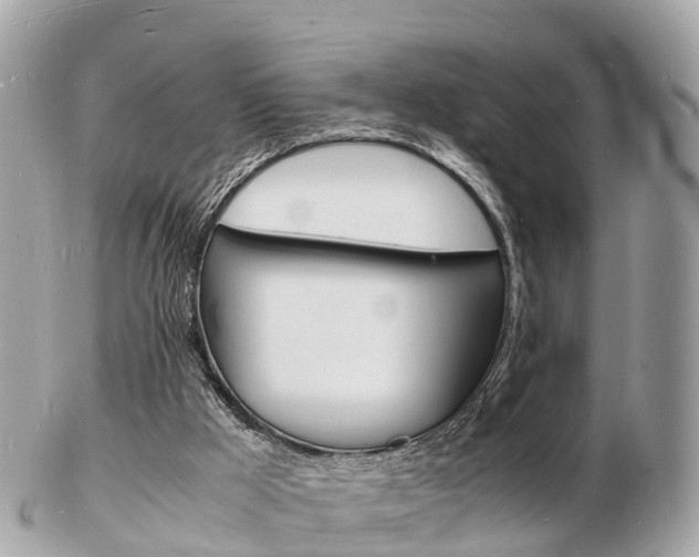 X0000103290009200808291118