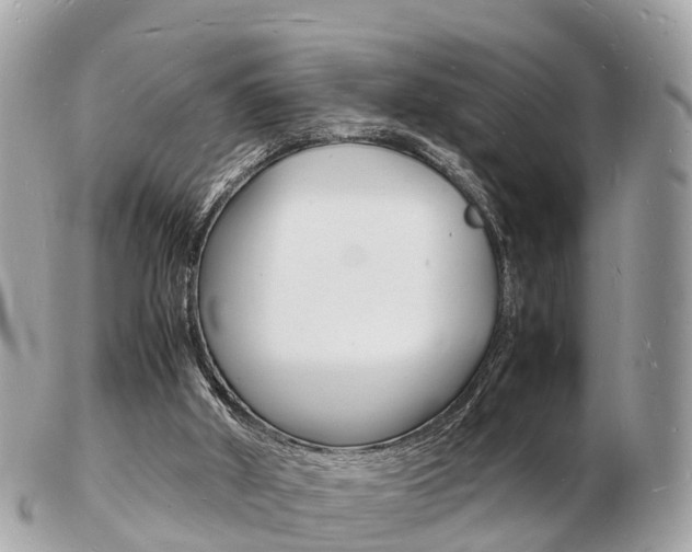 X0000103290010200808291118