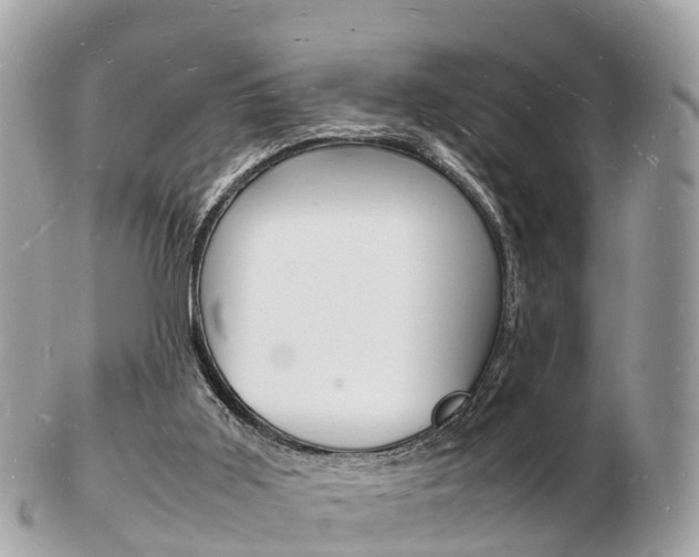 X0000103290011200808291118