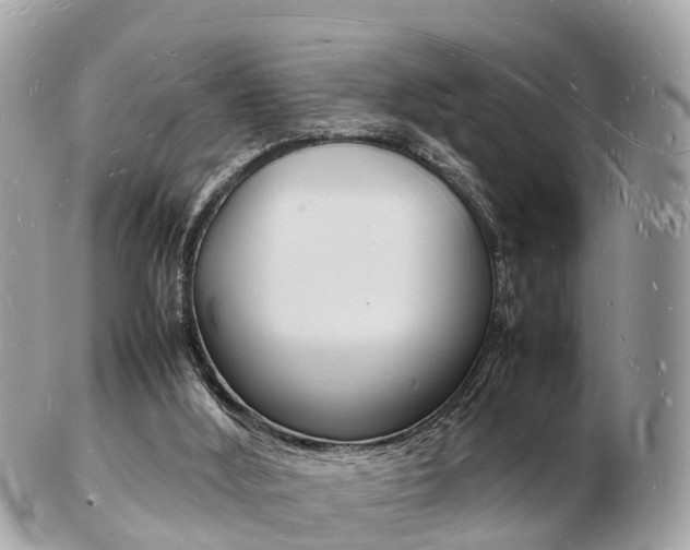 X0000103290012200808291118