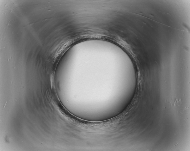 X0000103290013200808291118