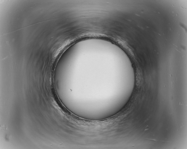 X0000103290015200808291118