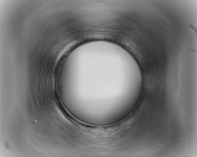 X0000103290016200808291118