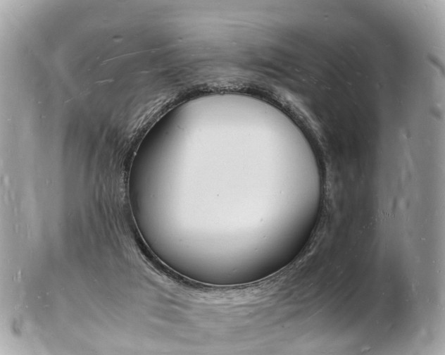 X0000103290017200808291118