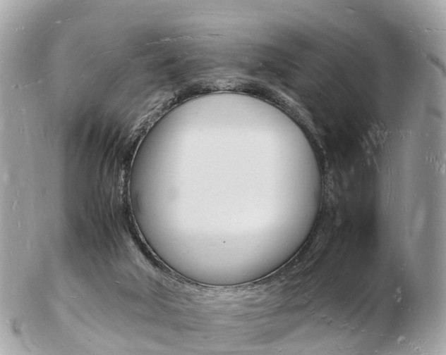 X0000103290018200808291118