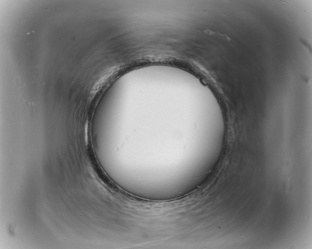 X0000103290019200808291118