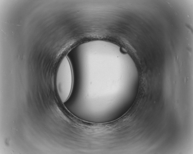 X0000103290020200808291118