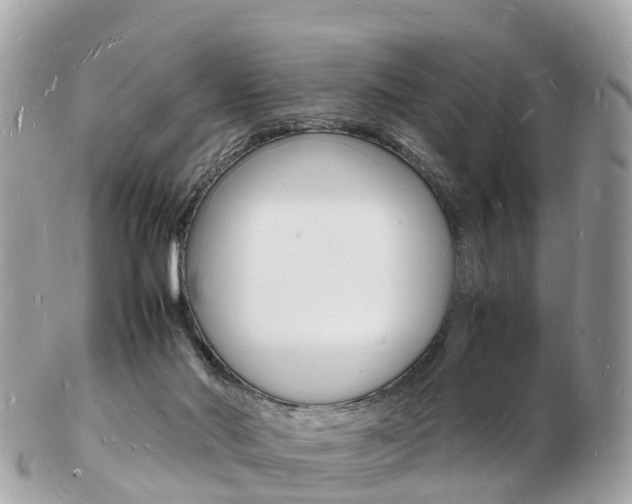 X0000103290022200808291118
