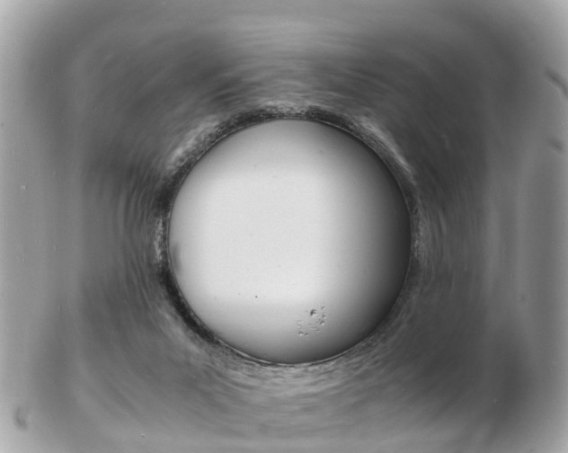 X0000103290023200808291118