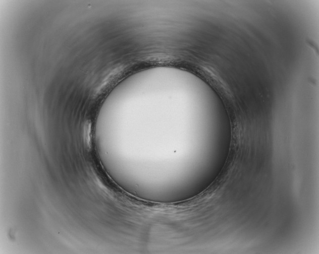 X0000103290024200808291118