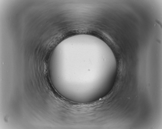 X0000103290025200808291118