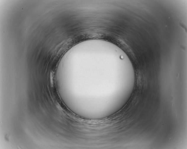 X0000103290026200808291118