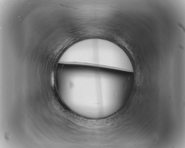 X0000103290027200808291118