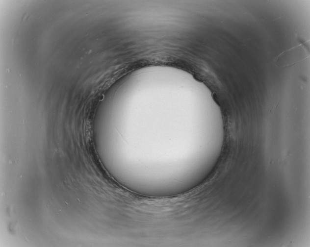 X0000103290029200808291118