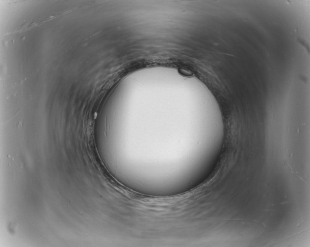 X0000103290033200808291118