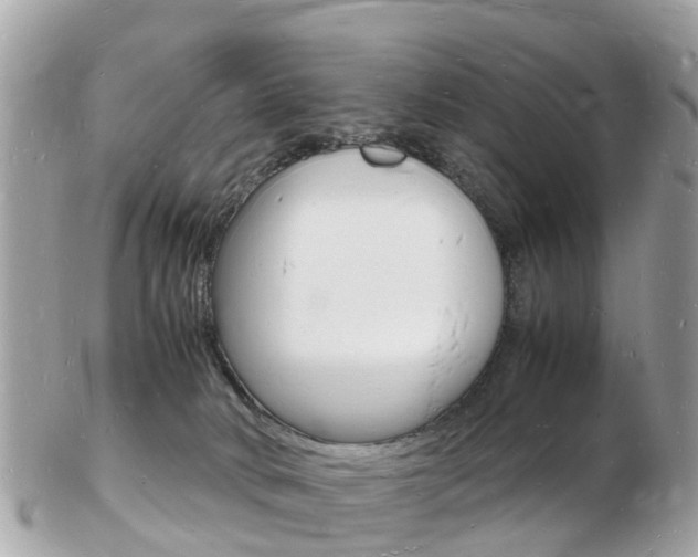 X0000103290034200808291118