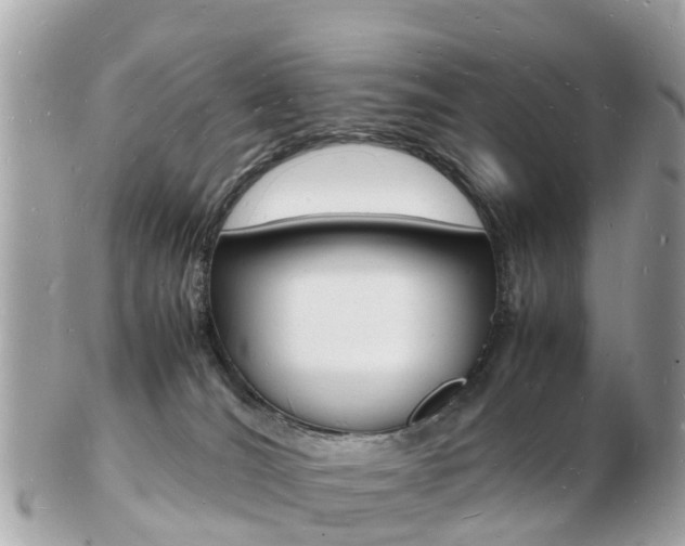X0000103290036200808291118