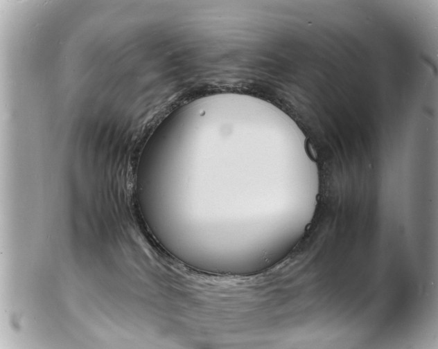 X0000103290040200808291118