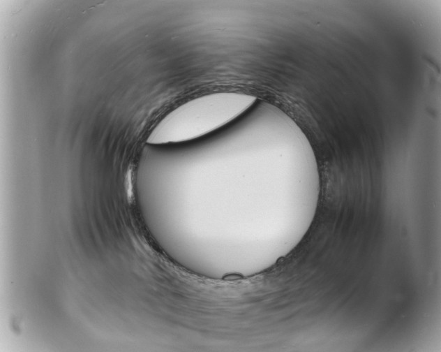 X0000103290042200808291118