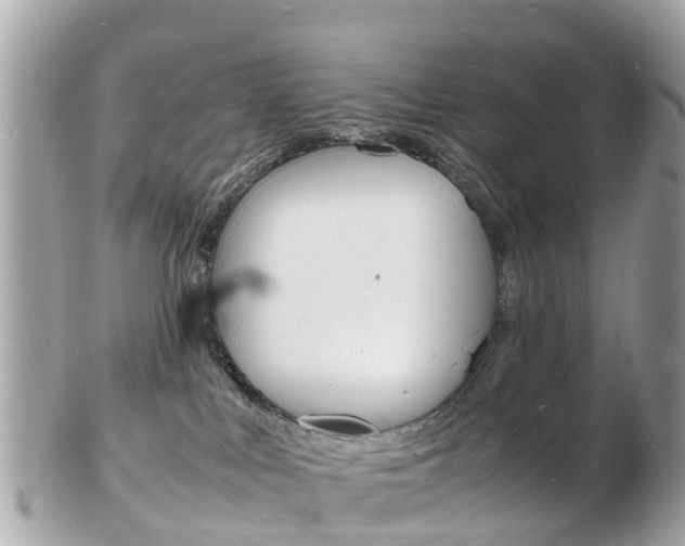 X0000103290043200808291118