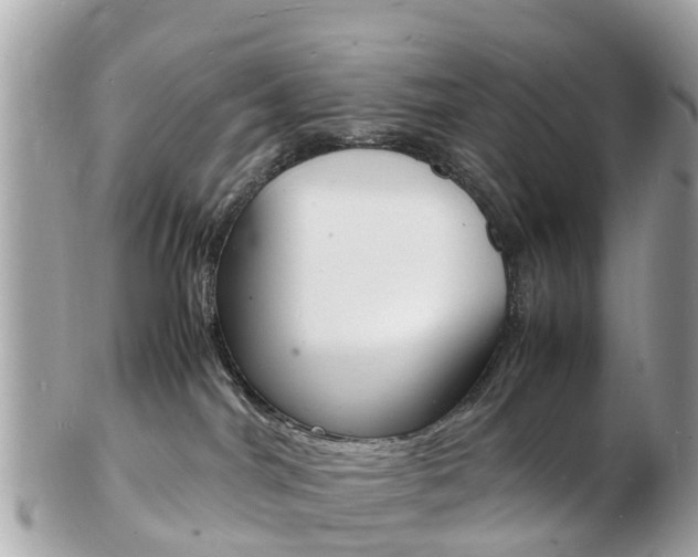 X0000103290044200808291118
