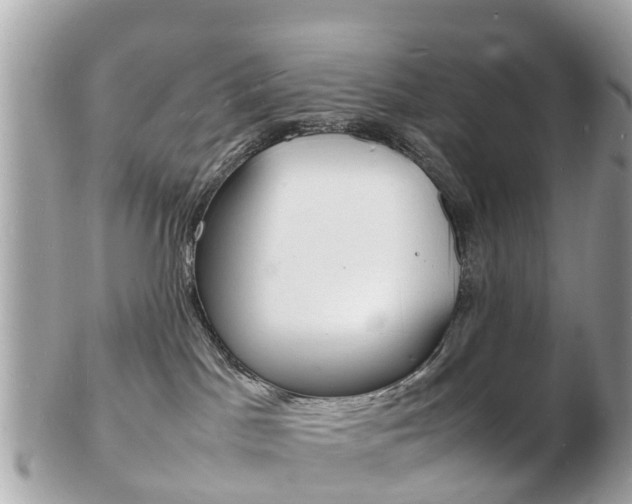 X0000103290045200808291118