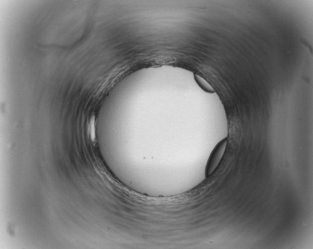X0000103290046200808291118
