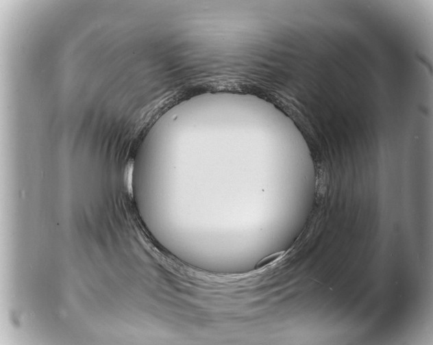 X0000103290047200808291118