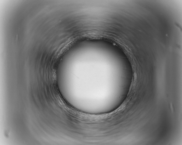 X0000103290048200808291118