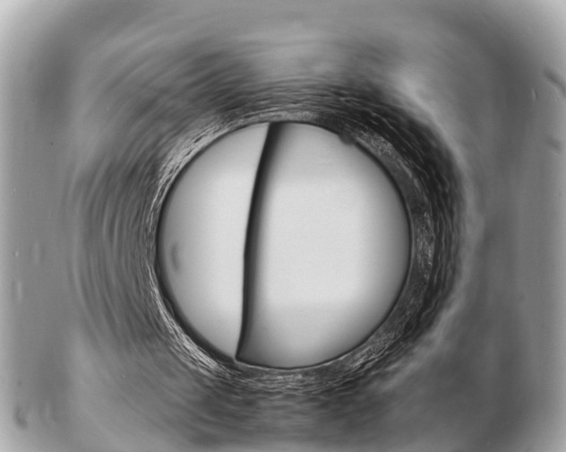 X0000103290049200808291117