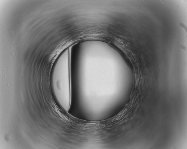 X0000103290050200808291117