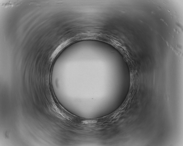 X0000103290051200808291117