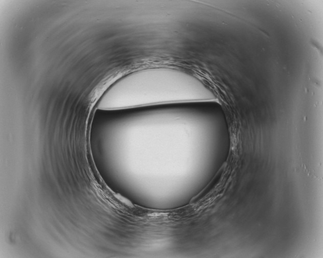 X0000103290052200808291117