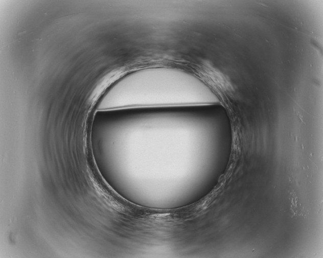 X0000103290054200808291117