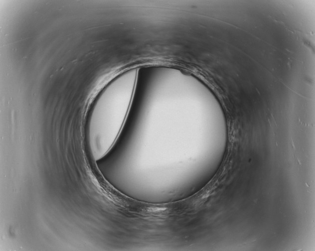 X0000103290055200808291117