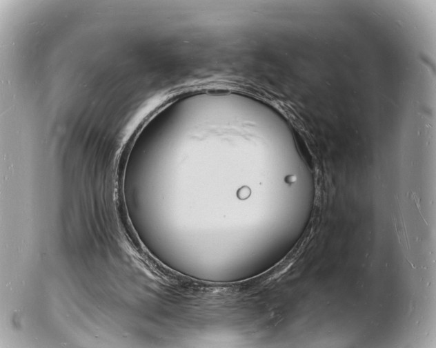 X0000103290056200808291117