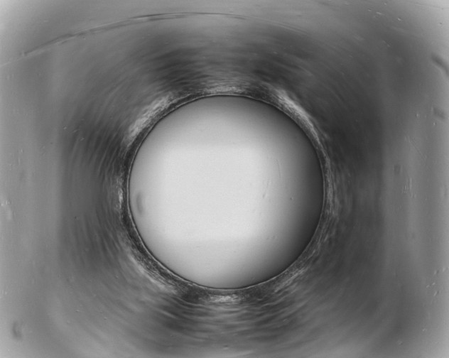 X0000103290059200808291117