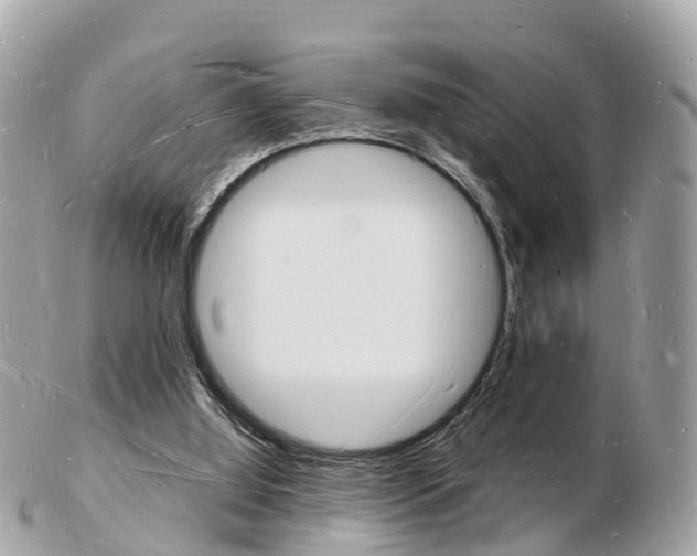 X0000103290060200808291117