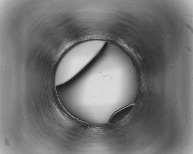 X0000103290062200808291117