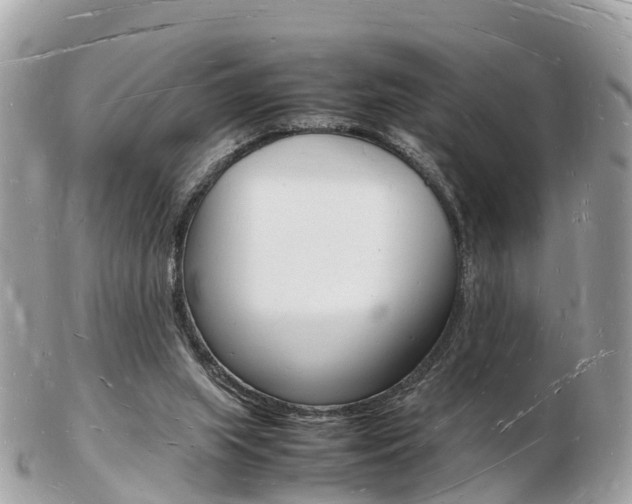X0000103290063200808291117