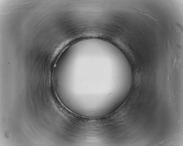 X0000103290064200808291117