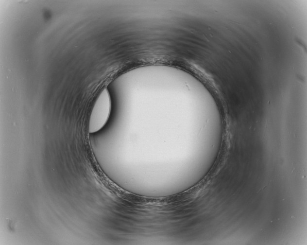 X0000103290065200808291117