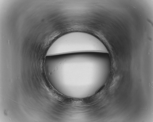X0000103290066200808291117