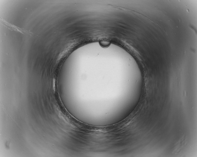 X0000103290067200808291117