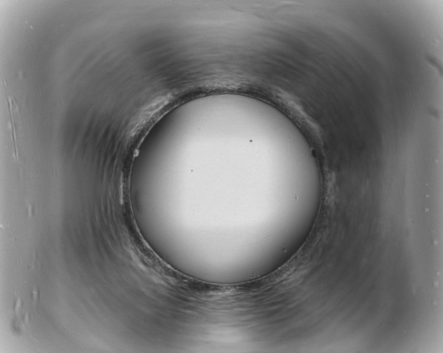 X0000103290068200808291117