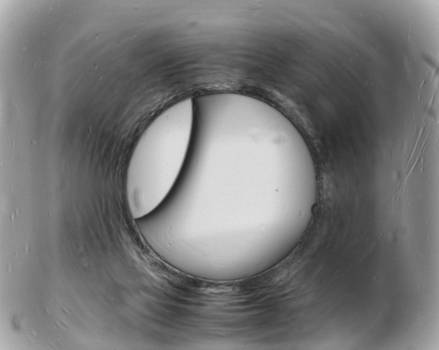 X0000103290069200808291117