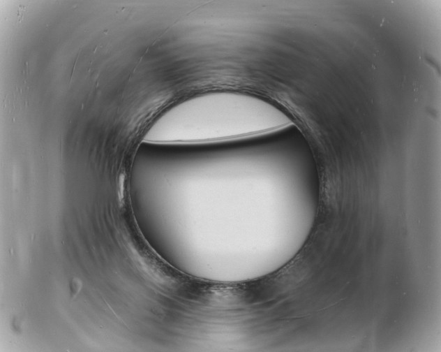 X0000103290070200808291117