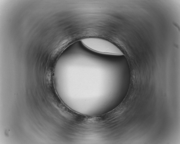 X0000103290072200808291117