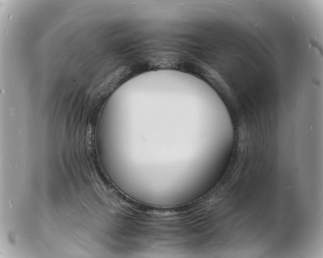X0000103290073200808291117